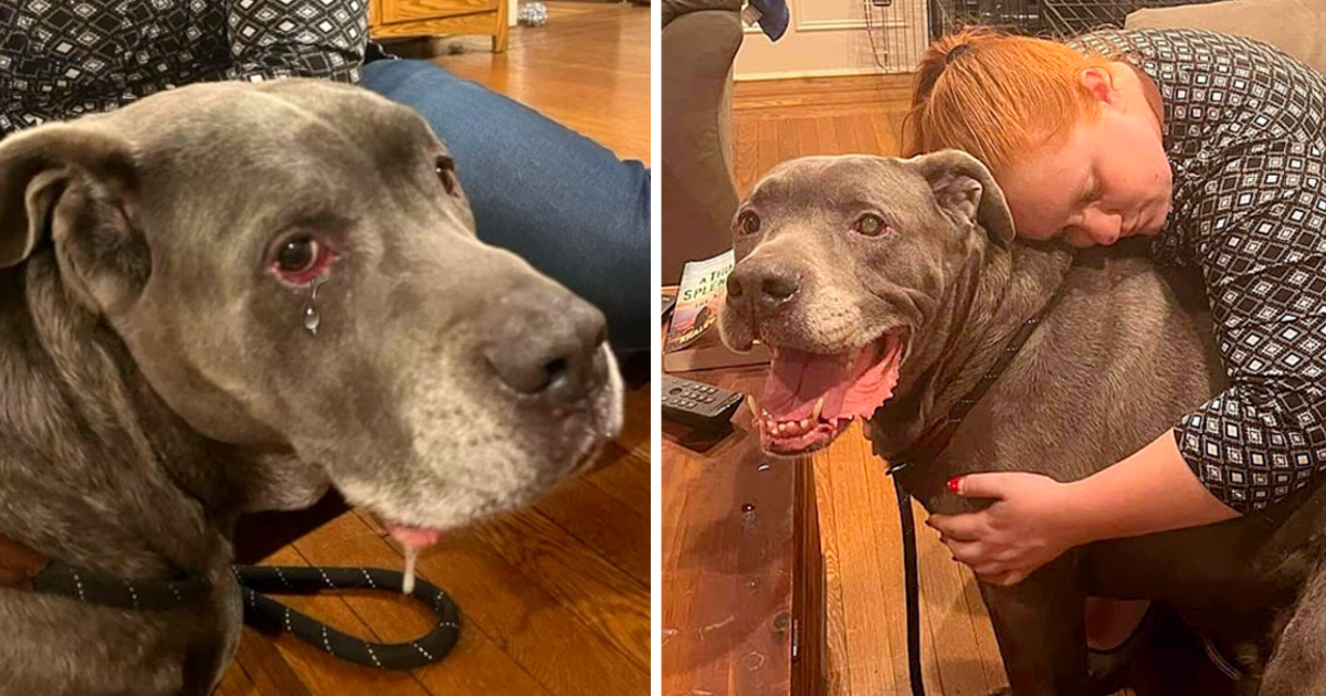 Blue Bear Finds Comfort After Life-Changing Moment
